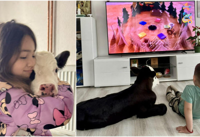 ТЕЛЕНЦЕ НА ИВИЦИ ЖИВОТА И СМРТИ ПОСТАЛО МАЗА ПОРОДИЦЕ Сада са клинцима ужива у цртаним филмовима, каже Башчанка и мајка седморо деце