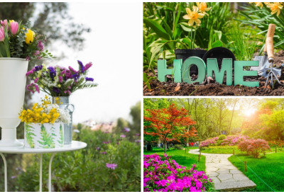 АПРИЛ ЈЕ ИДЕАЛАН ЗА САДЊУ ЦВЕЋА! Ових пет биљака брзо расту, дуго цветају и претварају двориште у бајку