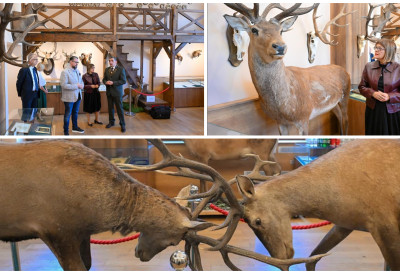 ПОДРШКА ЛОВСТВУ И ТУРИЗМУ Гојковићева и Јухас обишли Музеј у Војводини, најављена велика улагања и нови конкурс