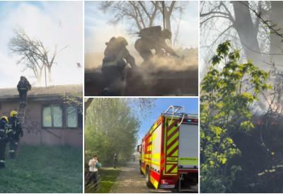 (ВИДЕО) Горе напуштене бараке! ПОЖАР У ЛИМАНСКОМ ПАРКУ Дим се шири на све стране, ватрогасци на терену