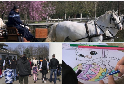 (ВИДЕО) КЕЛЕБИЈА ЈЕ ОДГОВОР НА ПРАЗНИЧНО ПИТАЊЕ ГДЕ СА ПОРОДИЦОМ Коњи, кочије, деца тражила скривена јаја скривена по ергели