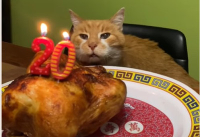 (ВИДЕО) МАЧАК МЕТУЗАЛЕМ Oрвил прославио 20. рођендан и постао виралан под старе дане