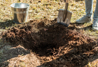 КРТИЦЕ БЕЖЕ ОД ОВОГ МИРИСА! Ставите ову СМЕСУ у рупу и двориште ће брзо остати без њих