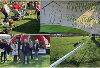 ИЗЛОЖБА ПАСА МЕШАНАЦА У ЛИМАНСКОМ ПАРКУ Све више удомљених бића доброг срца