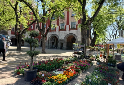 (ФОТО, ВИДЕО) ЖЕЛИТЕ БАШТУ КАО ИЗ КАТАЛОГА? На овој суботичкој манифестацији можете да пронађете савршене биљке!