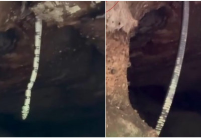 (ВИДЕО) ЗМИЈА КОЈОЈ НЕМА КРАЈА! Ево какво чудовиште је излазило из пећине у Бразилу