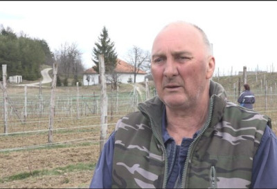 ЦРВЕНО ЗЛАТО НА ПОВРШИНИ ОД ПРЕКО ХЕКТАРА Радивоју у селу код Пријепоља већ пуне руке посла у малињаку ком вода пише судбину