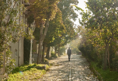 (ФОТО) У ВОЈВОДИНИ се налази једна од 50 НАЈЛЕПШИХ УЛИЦА НА СВЕТУ! Изгледа бајковито, сви се заустављају да се фотографишу