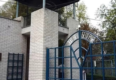 (ФОТО) НОВИ ЧЛАН У БЕОГРАДСКОМ ЗОО ВРТУ! Стигла принова после 30 година чекања и одмах је постала главна атракција