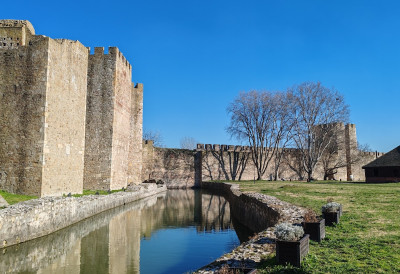 У Смедереву обележен почетак 7534. године по старом српском календару: ПРОЛЕЋЕ ПОЧЕТАК ЖИВОТНОГ КРУГА