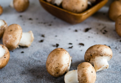 ОД ШАМПИЊОНА ГОДИШЊЕ ДОЂЕ 11.000 ЕВРА ЧИСТЕ ЗАРАДЕ Највећа производња је у Ковину, ево шта вам је све потребно за почетно улагање