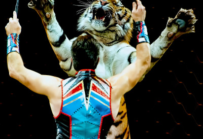 (ВИДЕО) ХАОС У ЦИРКУСУ! ТИГАР ИСКОЧИО У ПУБЛИКУ Звер прошетала трибинама, ЉУДИ У СТРАХУ ДРЖАЛИ ДЕЦУ