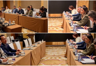 ЈОШ ЈЕДНА НОВА ФАБРИКА У СРБИЈИ Министарка Месаровић најавила нову инвестицију! Кинески произвођач електричних летелица заинтересован за улагања