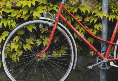 (ФОТО) Права НОВОСАДСКА шмекерица! НЕВЕРОВАТАН ОБРТ ПРИЧЕ о крађи бицикла у Шумадијској! СРЕЋА СЕ ДВАПУТ ОСМЕХНУЛА: Двоточкаш враћен, а ПОРУКА све изненадила