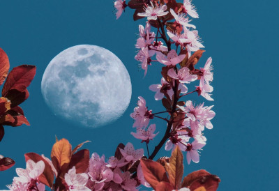 ПРВОГ МАЈА СТИЖЕ ПУН ЦВЕТНИ МЕСЕЦ Емоције ескалирају, све излази на видело- Највише ће утицати на ОВА четири знака!