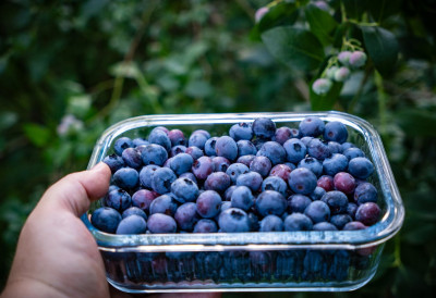 ОВА ТРИ КРИТЕРИЈУМА КОРИСТИТЕ КАДА КУПУЈЕТЕ ПАКОВАНО ВОЋЕ Ако видите ЈЕДАН знак избегавајте куповину!