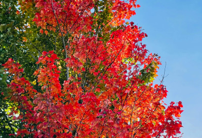 РАЗВЕЗИВАЊЕ СУДБИНСКИХ ЧВОРОВА САМО ШТО НИЈЕ ПОЧЕЛО: Овом знаку хороскопа се смеше НАСЛЕДСТВО и ВЕЛИКИ НОВАЦ, а ево ко ће бити ПРИНУЂЕН ДА СЕ СЕЛИ