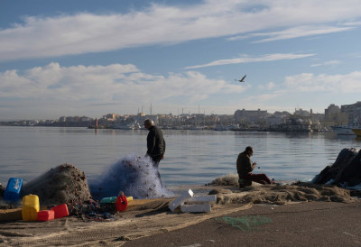 (ФОТО) МОРСКА ГРДОСИЈА СЕ УПЛЕЛА У МРЕЖУ КОД БРАЧА! Рибари уловили 4 метра велику АЈКУЛУ- Прво избацила из себе САБЉАРКУ