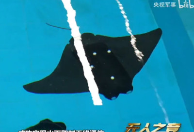 (ВИДЕО) КИНА ИЗВЕЛА "ЧУДОВИШТЕ" ИЗ ДУБИНЕ- НАПРАВИЛИ ДРОН ПО УЗОРУ НА РАЖЕ Можете бити десетине сати под водом, снима у апсолутном мраку- Спреман је за најопасније мисије!