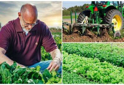 ДО ДВА МИЛИОНА ДИНАРА ЗА ПОЉОПРИВРЕДНИКЕ У ВОЈВОДИНИ Ево да ли имате право на ову субвенцију и до када је последњи рок за пријаву!