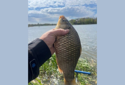 РАПОРТ С ВОДЕ Ветар није препрека за пецање бабушки