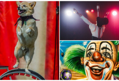 ШАТОР СЕ ПОСТАВЉА, ПРВА ПРЕДСТАВА СУТРА Циркус Делавега стиже у наш град на нову локацију! Спремили нов програм, а највише овација прикупља КЛОВН ИЗ БРАЗИЛА