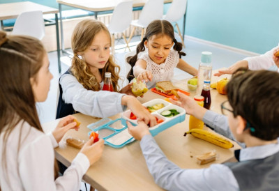 МАЊЕ МЕСА ЗА ДЕЦУ У ШКОЛАМА У ШВЕДСКОЈ Буџет није пратио инфлацију, добијају више вегетаријанских јела