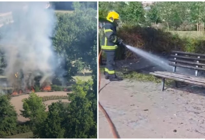 (ВИДЕО) ВАТРА БУКНУЛА У ЛИМАНСКОМ ПАРКУ Пожар изазвао узнемирење грађана, ватрогасци одмах реаговали