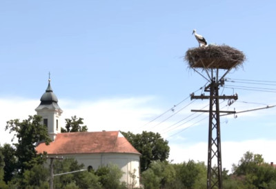 Вино и ракија су спремни спремни ЗА ВИКЕНД СУ „НЕШТИНСКИ СОКАЦИ“ Чувају старе обичаје и промовише домаћу производњу (ВИДЕО)
