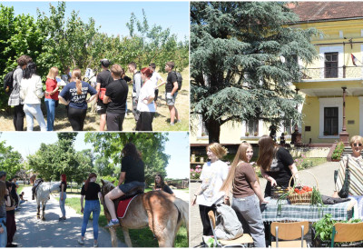 ОДРЖАН ДАН ОТВОРЕНИХ ВРАТА У СРЕДЊОЈ ПОЉОПРИВРЕДНОЈ ШКОЛИ У ФУТОГУ Осмацима приказан пољопривредни радни дан