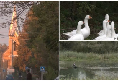 СВЕ ВИШЕ ТУРИСТА ИЗ ХОЛАНДИЈЕ И ФРАНЦУСКЕ ДОЛАЗИ У "СЕЛО НА СЕДАМ ДУНАВА" Смештај од 15 евра, а готови сви се опет врате