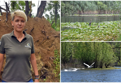 „ВОЈВОДИНА ШУМЕ” МЕЂУ ЛИДЕРИМА ЗЕЛЕНИХ ИНОВАЦИЈА Доказ да улагање у заштиту природе и очување биодиверзитета има велики значај