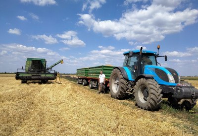 VOJVOĐANSKI RATARI NEZADOVOLjNI OTKUPNOM CENOM: Jedna kifla od 60 dinara vredi kao tri kilograma pšenice