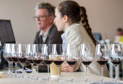 Srpska vina osvojila tri platinaste medalje na Decanter World Wine Awards u Londonu