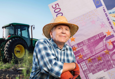 Zemlja u Srbiji kao zlato: Hektar njive u Vojvodini skoro 12.000 evra, Južnobanatski okrug beleži najveći skok cena — čak 15 odsto