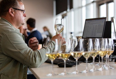 НАЈБОЉЕ ОЦЕЊЕНА СРПСКА ВИНА СТИЖУ НА WINE VISION BY OPEN BALKAN Рекордан успех на Decanter World Wine Awards