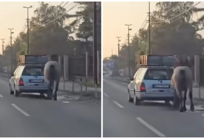 (VIDEO) Uznemirujući snimak sa ulice! KONjA VEZAO ZA AUTOMOBIL  PA DAO GAS! Prizor razbeseo javnost