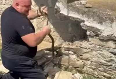 (ВИДЕО) Тренутак кад је све пошло по злу! ПОЗНАТОГ ЗМИЈОЛОВЦА УЈЕЛА ЗМИЈА Владица кренуо да је ухвати, а онда је уследио потпуни преокрет: „Мајко моја!“