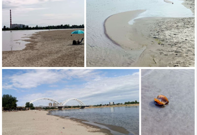 (ФОТО) ПОЈАВИЛИ СЕ СПРУДОВИ НА ДУНАВУ Опасно низак водостај у Новом Саду, на Тиси мања угинућа рибе ВОДА СЕ ОПАСНО ЗАГРЕВА