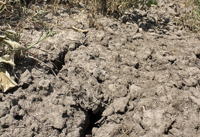 УПАЉЕНИ АЛАРМИ У МАЂАРСКОЈ Проглашено ванредно стање због озбиљне несташице воде