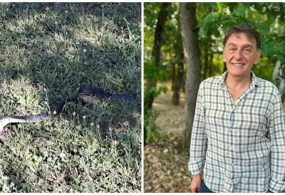 ОВАЈ ЧОВЕК СПАСАВА УПЛАШЕНЕ ЧАЧАНЕ! Дејану се телефон усијао од позива, њега зову када им се змија појави у дворишту