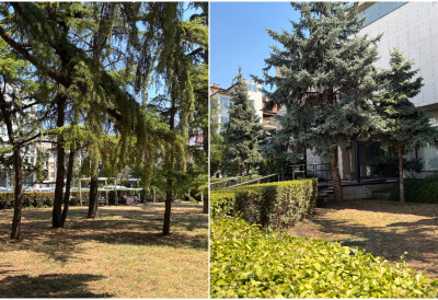 КУТАК ЗА ЗАКЛОН ОД ВРУЋИНЕ У ЦЕНТРУ ГРАДА Хладовина и уметност на Тргу галерија
