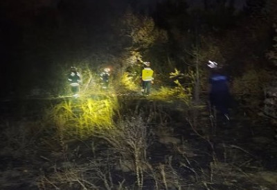 (ФОТО) Нема одмора за новосадске ватрогасце! ОКРШАЈ С ВАТРЕНОМ СТИХИЈОМ У ДЕЛИБЛАТСКОЈ ПЕШЧАРИ И ПО МРКЛОМ МРАКУ: Борба и даље траје!