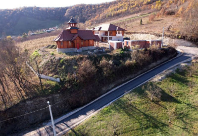 У ОВОМ СЕЛУ КОД ЧАЧКА НА ДАНАШЊИ ВЕЛИКИ ПРАЗНИК РОЂЕН ЈЕ ПАТРИЈАРХ СРПСКИ ИРИНЕЈ Видова чува успомену на свог вољеног комшију и рођака (ФОТО)