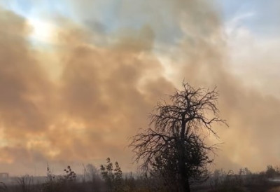 БУКНУЛО И КОД КЛАДОВА Ватра се шири ка кућама, ватрогасци на терену (ВИДЕО)