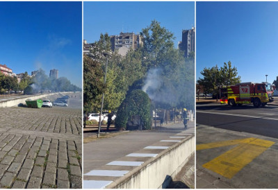 (ФОТО, ВИДЕО) ВИЈЕ СЕ СИВИ ДИМ НА НОВОСАДСКОМ КЕЈУ Гори пергола,  ватрогасци на терену
