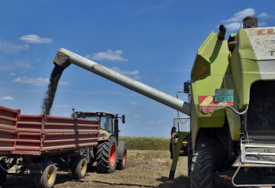 НОВОСАДСКА ПРОДУКТНА БЕРЗА Шта се дешава са кукурузом, пшеницом, сојом и сунцокретом МАЊАК РОБЕ ПОДИЖЕ ЦЕНЕ