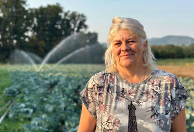 Домаћини из Виљуше надају се рекордном роду: Чачански купус одлично напредује, биће га за зимницу и свадбарски