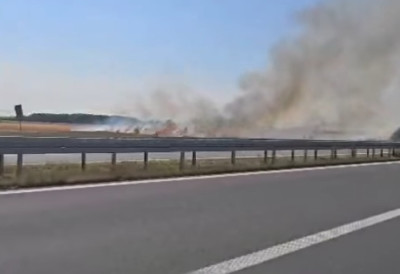 (ВИДЕО) ГУСТ ДИМ ПРЕКРИО АУТО-ПУТ КОД ПЕЋИНАЦА! Пожар букнуо на њивама и смањио видљивост