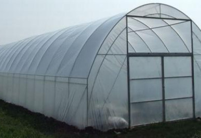 ПОЉОПРИВРЕДНИЦИ НА ОПРЕЗУ Нагло отапање снега ПРЕТЊА за поврће у пластеницима СПАНАЋ И САЛАТА НА УДАРУ